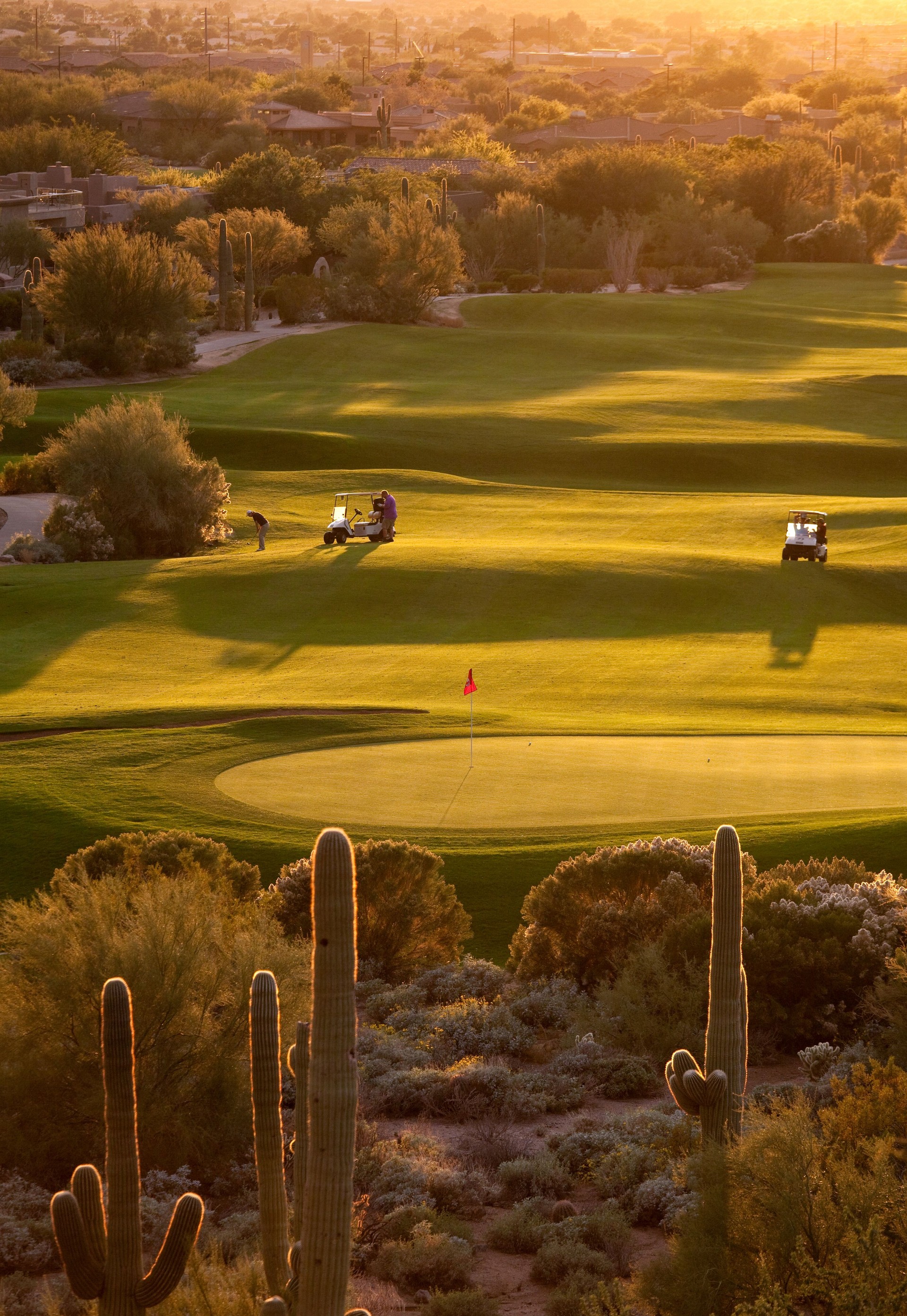 Arizona Golfers on the Fairway
